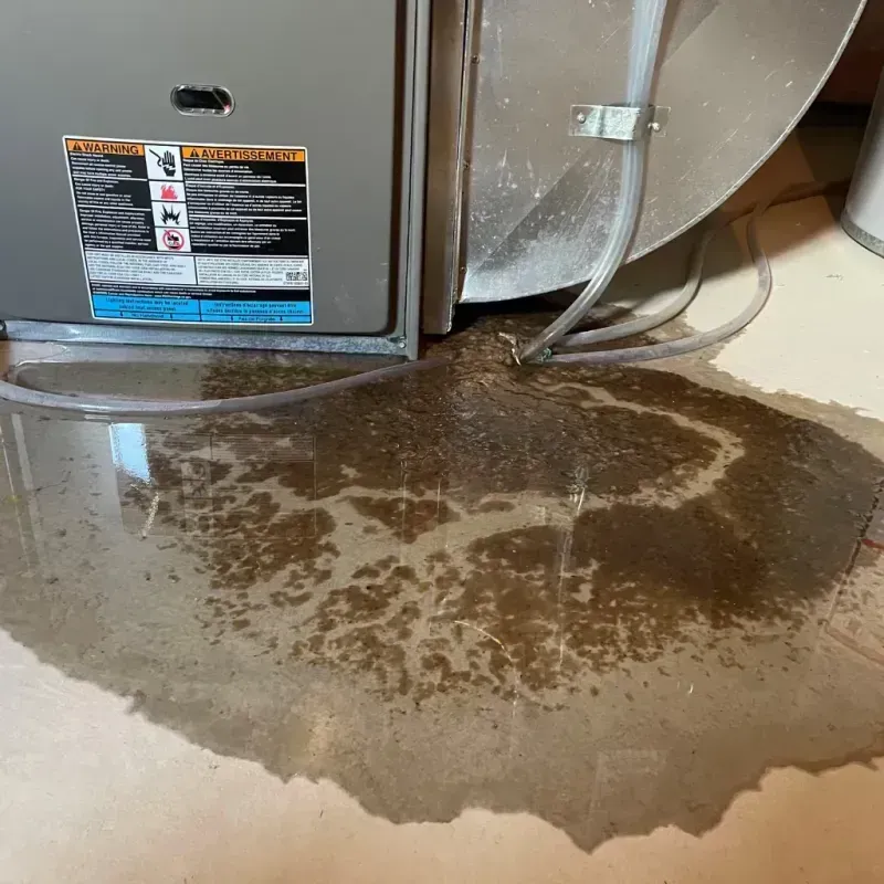 Appliance Leak Cleanup in Augusta, NY